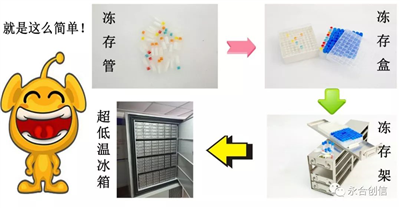 樣本凍存解決方案之凍存架、凍存盒、凍存管