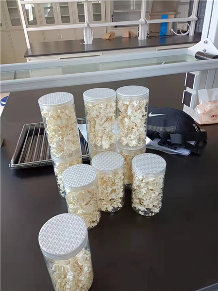 臺式冷凍干燥機(jī)的維護(hù)應(yīng)與及其操作、檢修密切配合