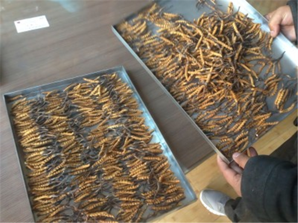 如何解決制藥凍干機(jī)中可能出現(xiàn)的漏液和氣體回流問題？